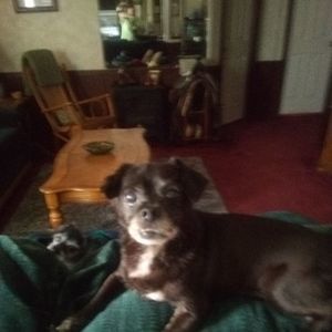 Meet your Posher, Lynn